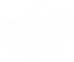 Základní umělecká škola